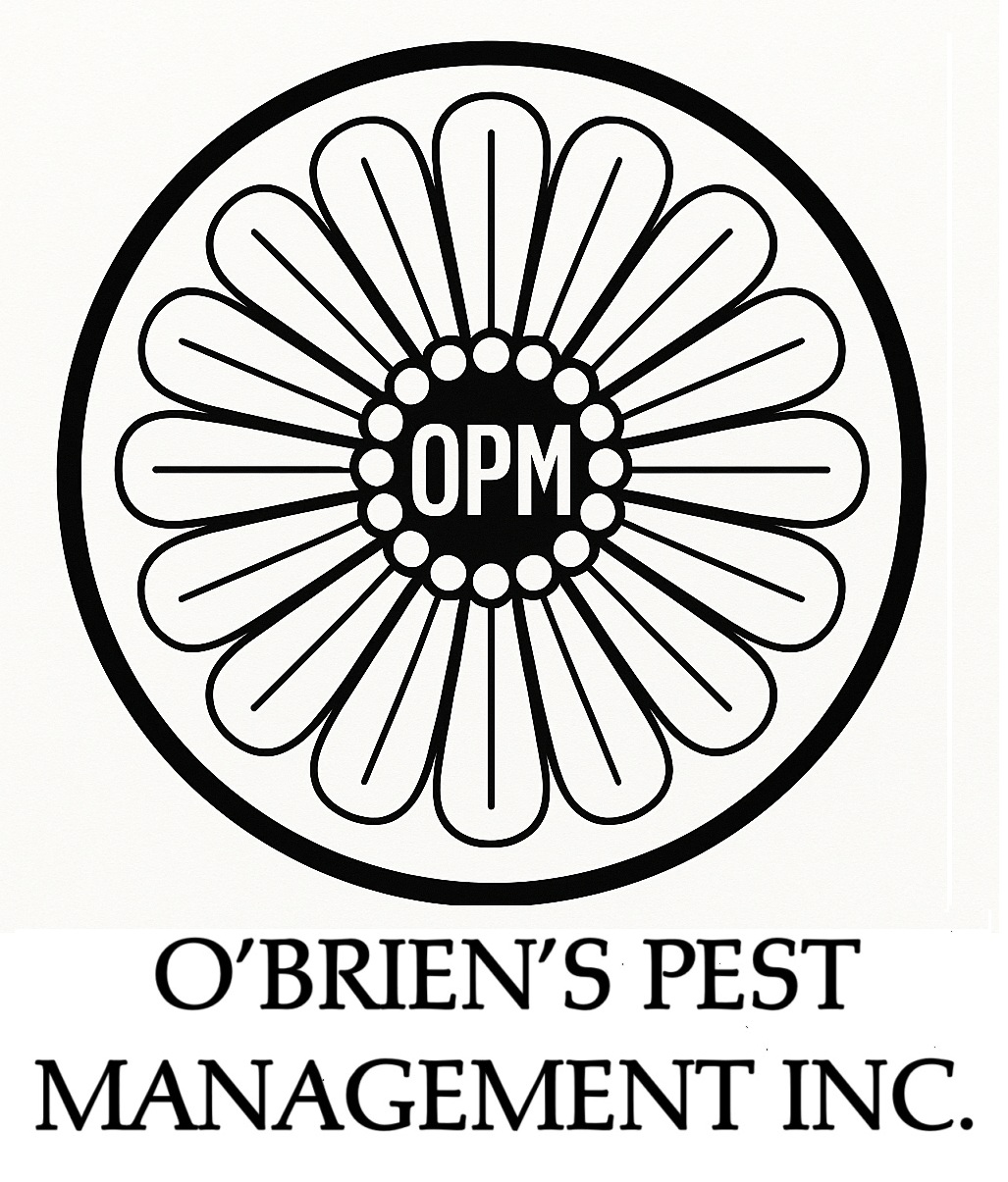 O'Brien's Pest Management